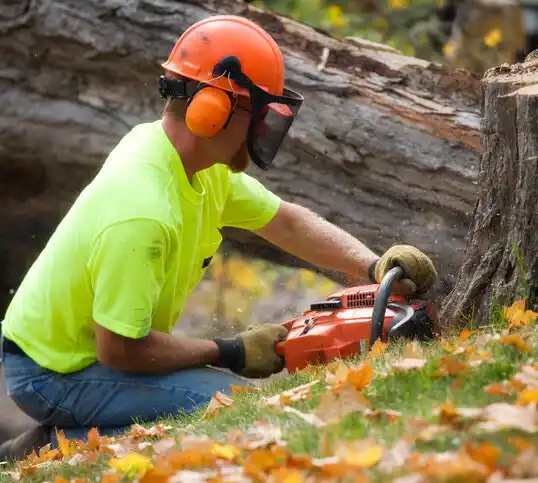 tree services Corder